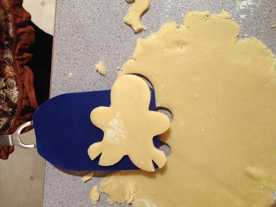 This is what your cookie will look like if you are making a lady draenei.